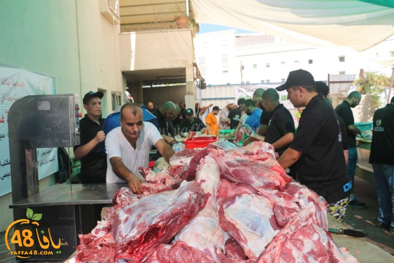 lod8om ada73y (111).JPG